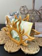 Lost Princess Sun Napkin Holder   Desk File Organizer Fashion